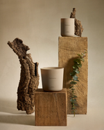 THE ESSENCE 220g The Essence scented candle