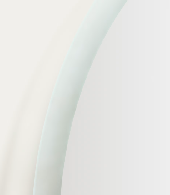 MERVI Ovalno kupaonsko ogledalo s LED svjetlom i zaštitom od zamagljivanja 80 x 50 cm