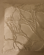 ZIRA Pamučna jastučnica s bež cvjetnim detaljima 45 x 45 cm