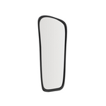 ALURA Ogledalo od crnog tikovine 94,5 x 192 cm