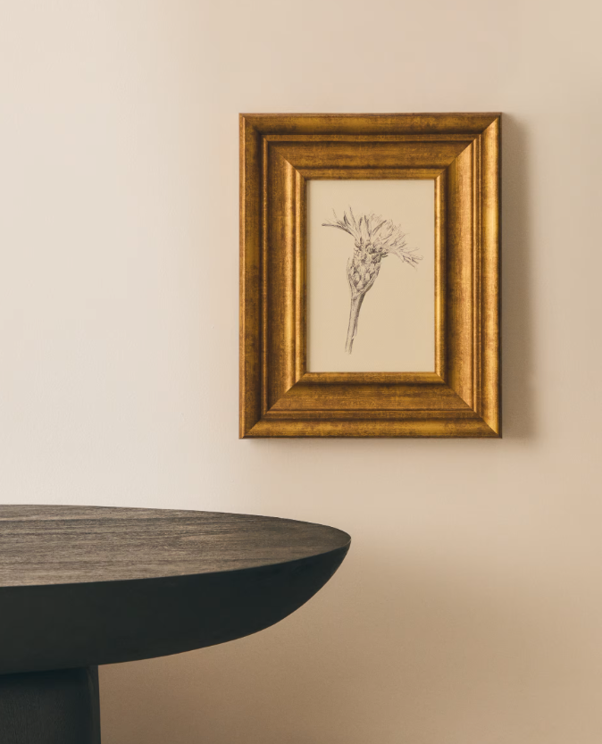 YALIRA Picture with botanical illustration 33 x 41 cm