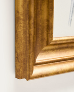 YALIRA Picture with botanical illustration 33 x 41 cm