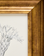 YALIRA Picture with botanical illustration 33 x 41 cm