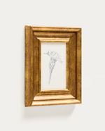 YALIRA Picture with botanical illustration 33 x 41 cm