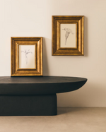 YALIRA Picture with botanical illustration 33 x 41 cm