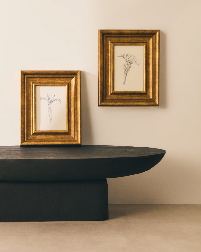 YALIRA Picture with botanical illustration 33 x 41 cm