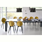 BASIL Stolica s drvenom bazom