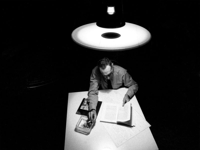 FRISBI Viseća svjetiljka