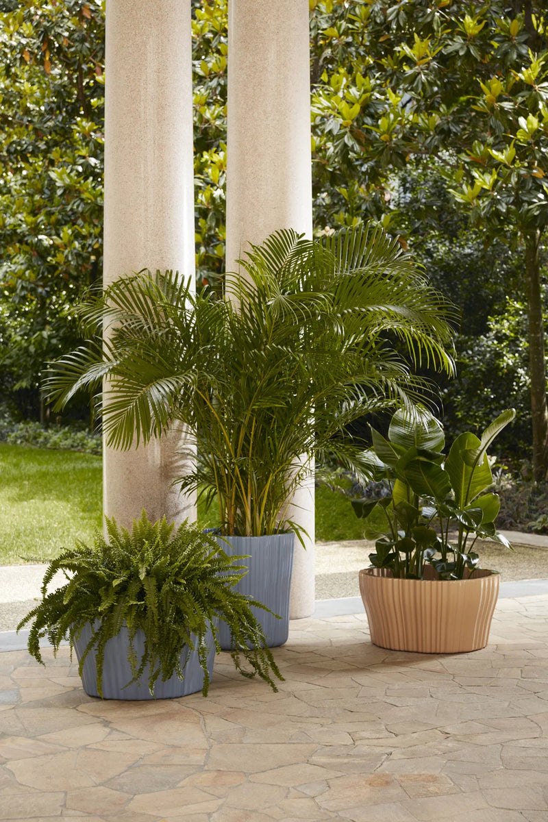 CORTEZA Big cachepot